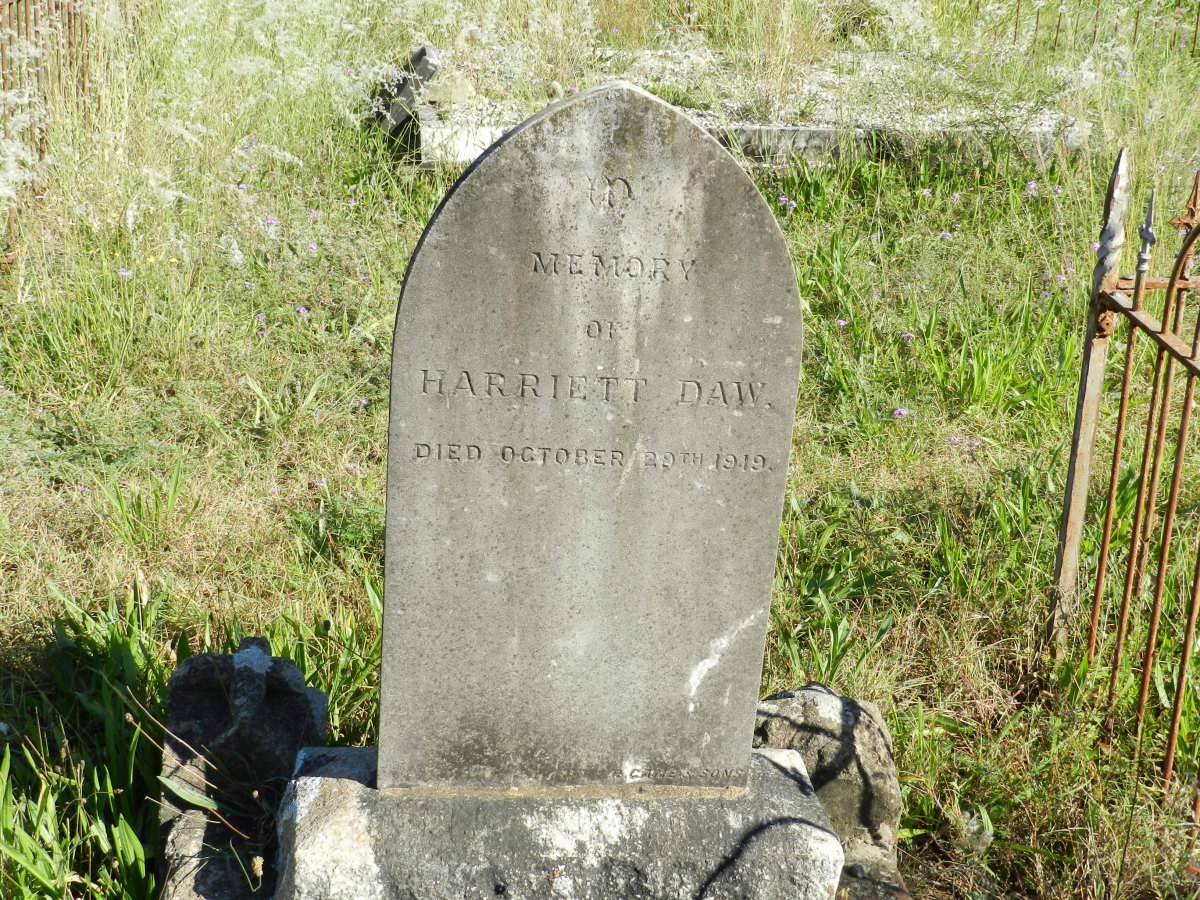 DAW Harriett -1919
