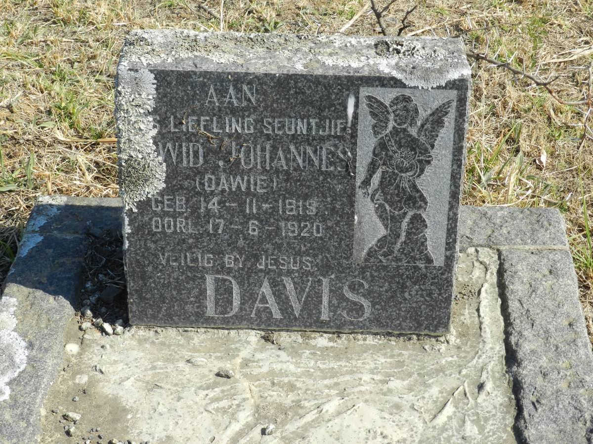 DAVIS Dawid Johannes 1919-1920