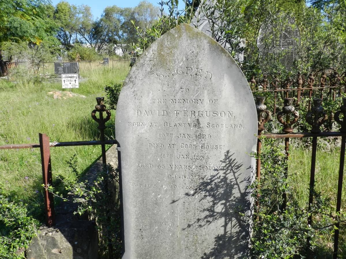 FERGUSON David 1829-1885