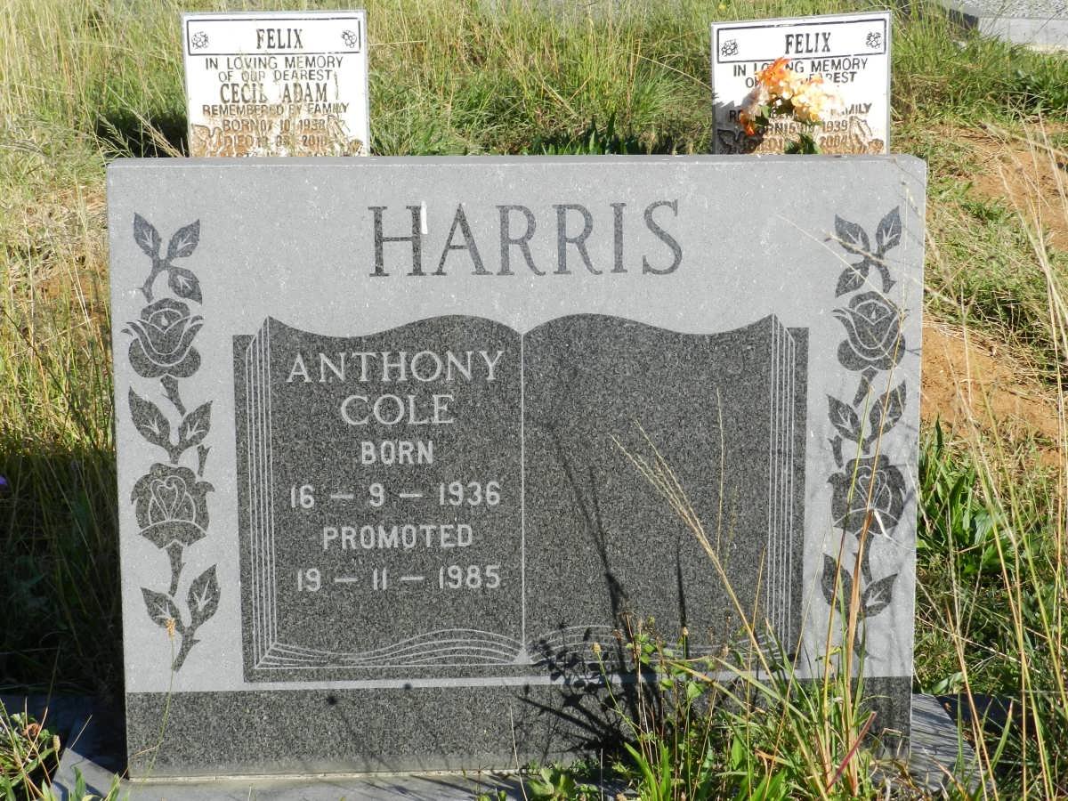 HARRIS Anthony Cole 1936-1985