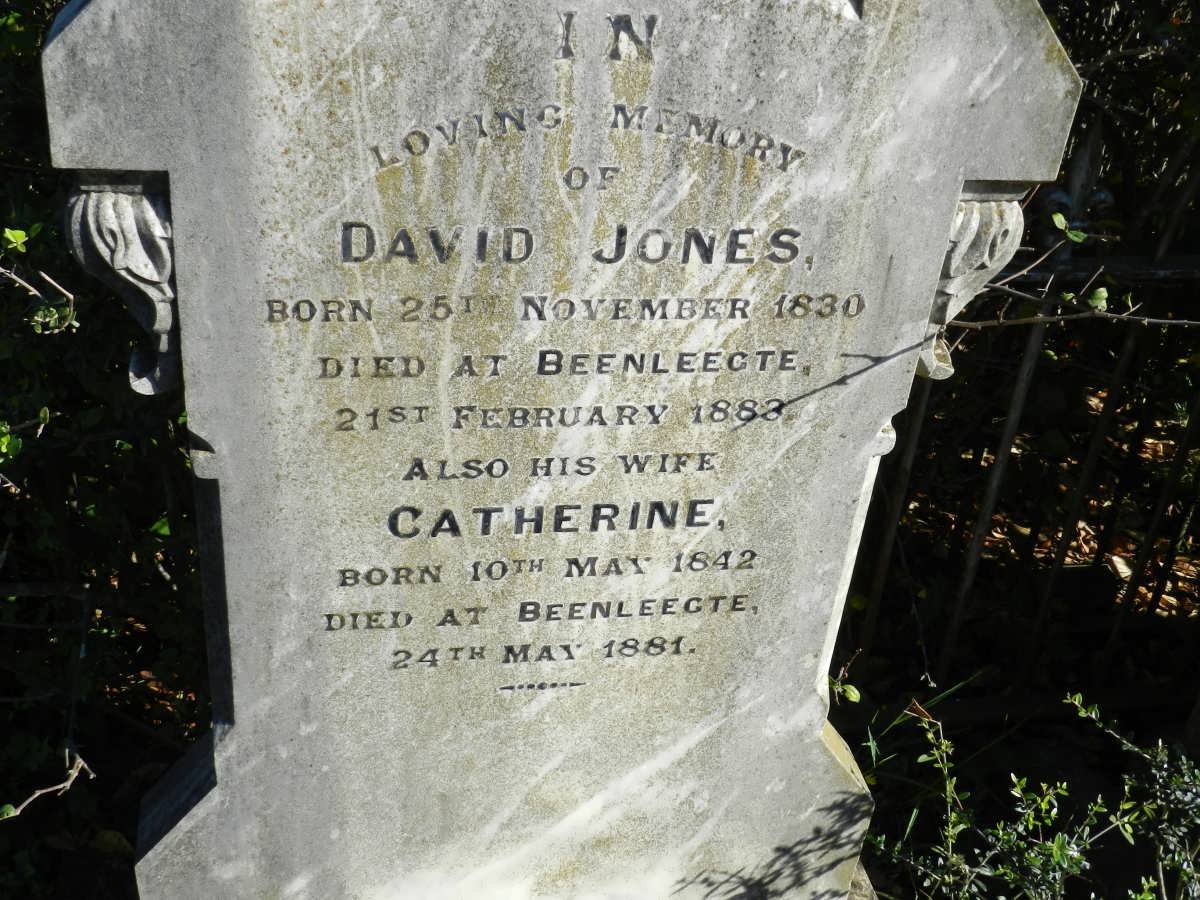 JONES David 1830-1883 &amp; Catharine 18412-1881