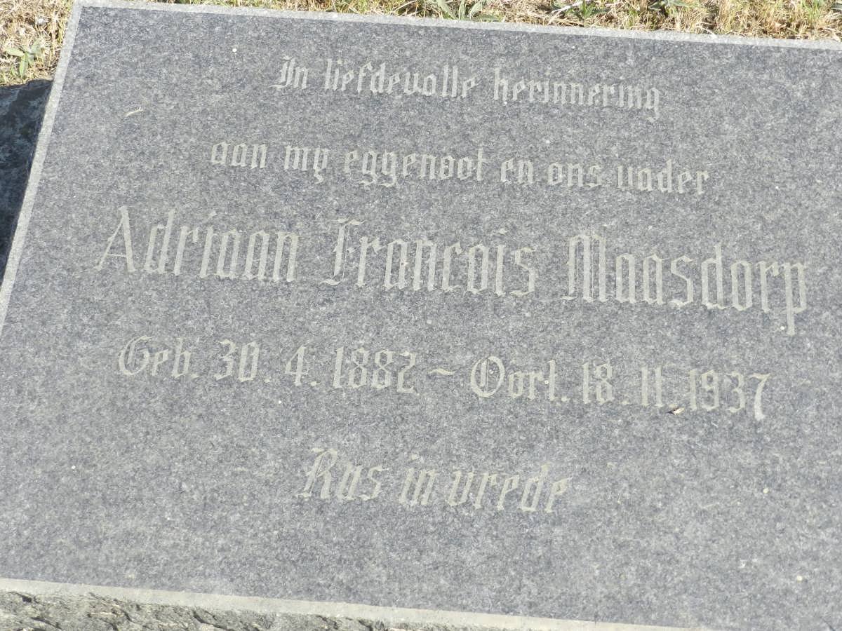 MAASDORP Adriaan Francois 1882-1937