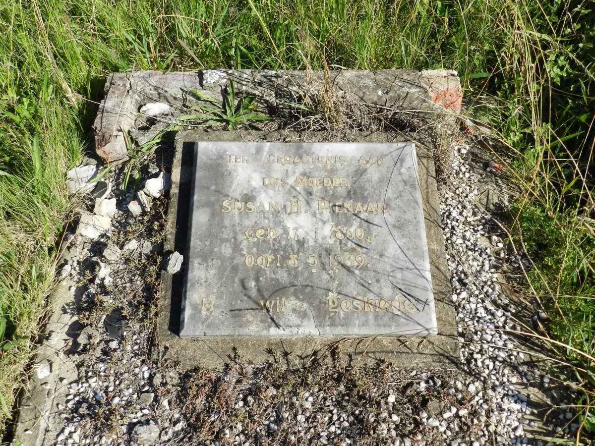 PIENAAR Susan H. 1860-1939