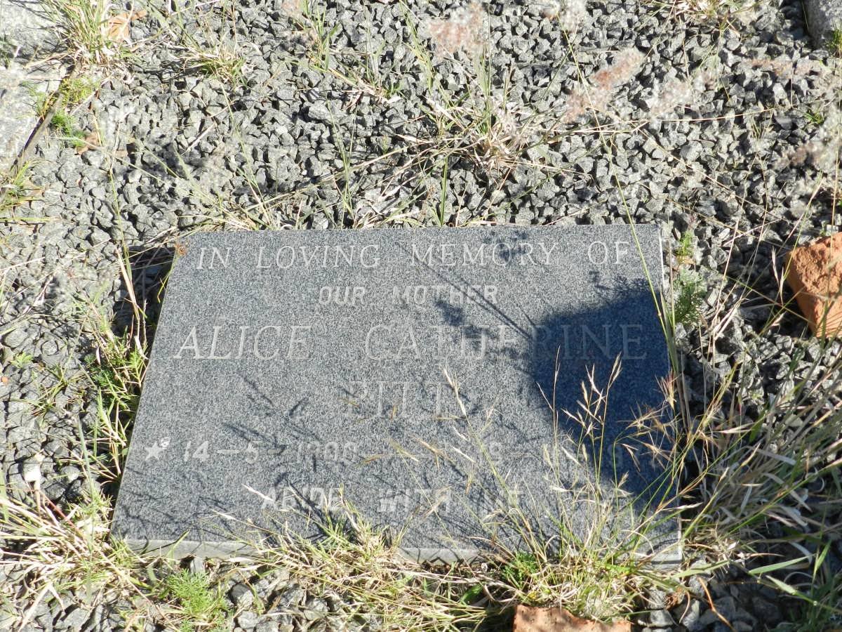 PITT Alice Catherine 1900-1979