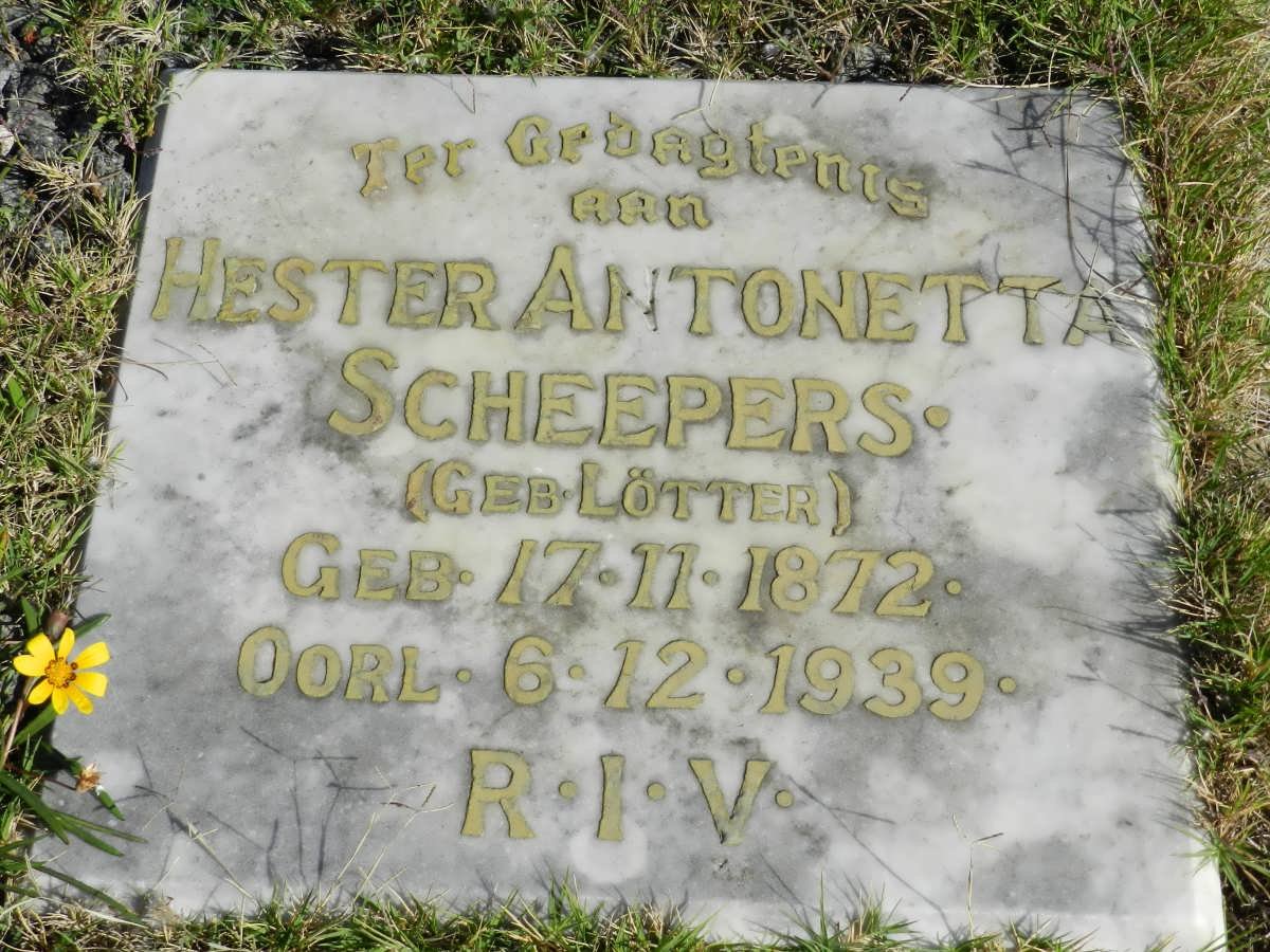 SCHEEPERS Hester Antonetta nee LÖTTER 1872-1939