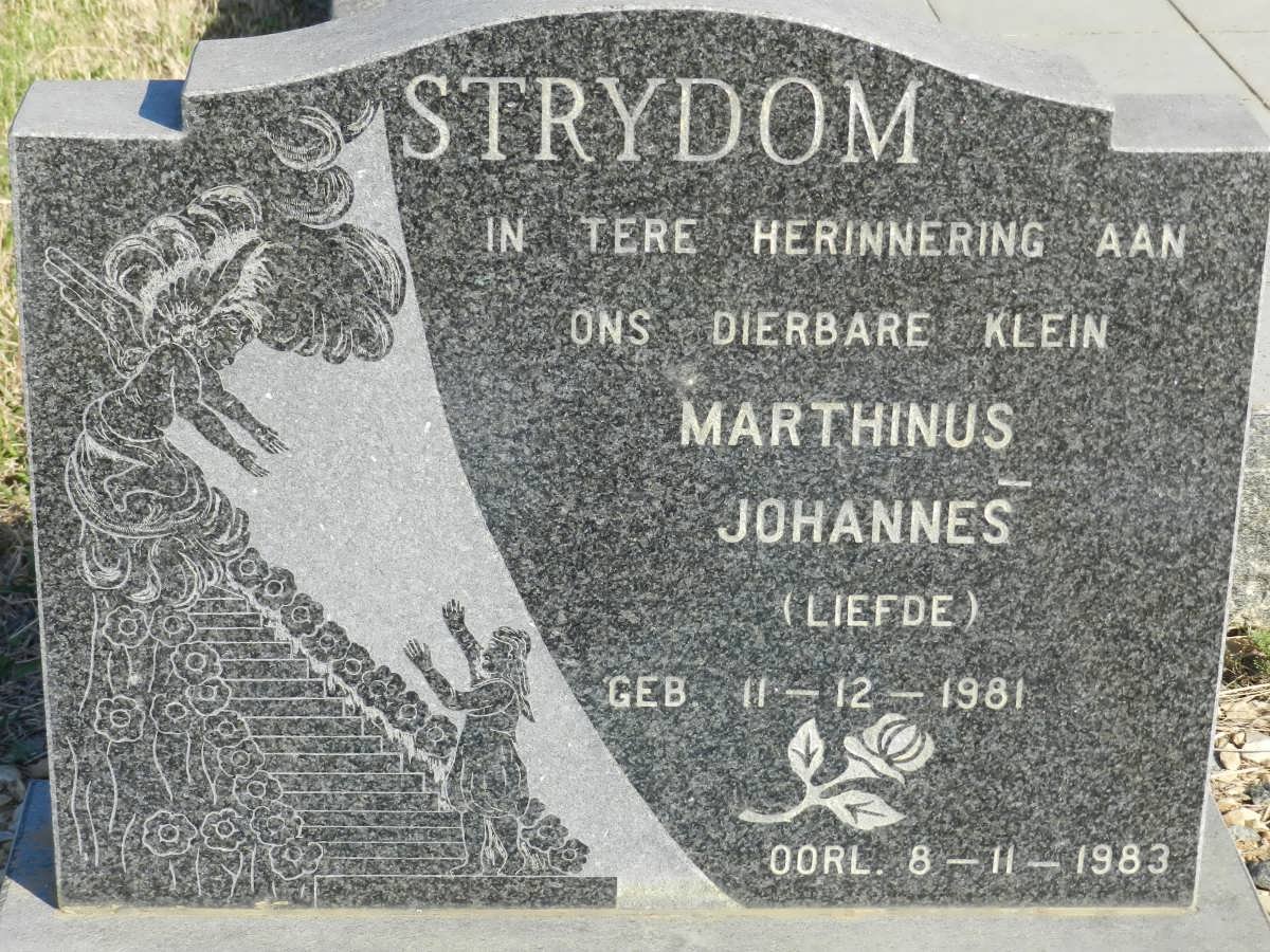 STRYDOM Marthinus Johannes 1981-1981