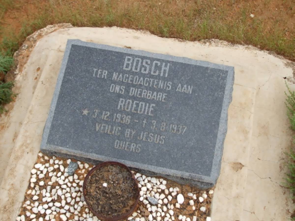 BOSCH Roedie 1936-1937