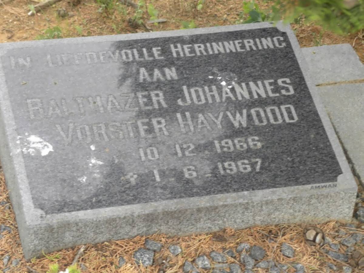 HAYWOOD Balthazer Johannes Vorster 1966-1967