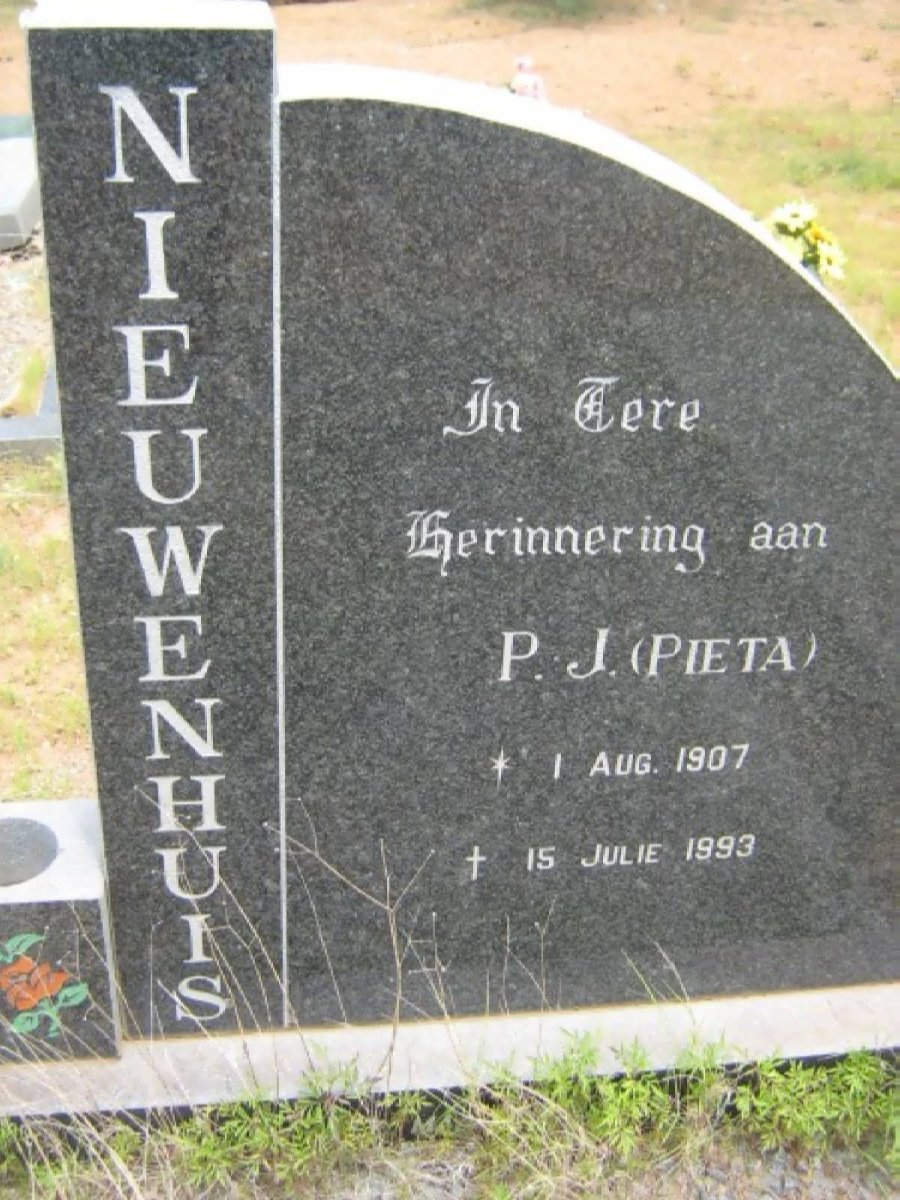 NIEUWENHUIS P.J. 1907-1993