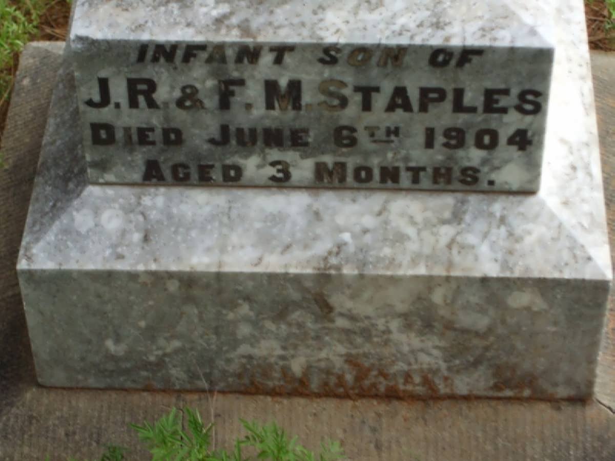 STAPLES  Baby -1904