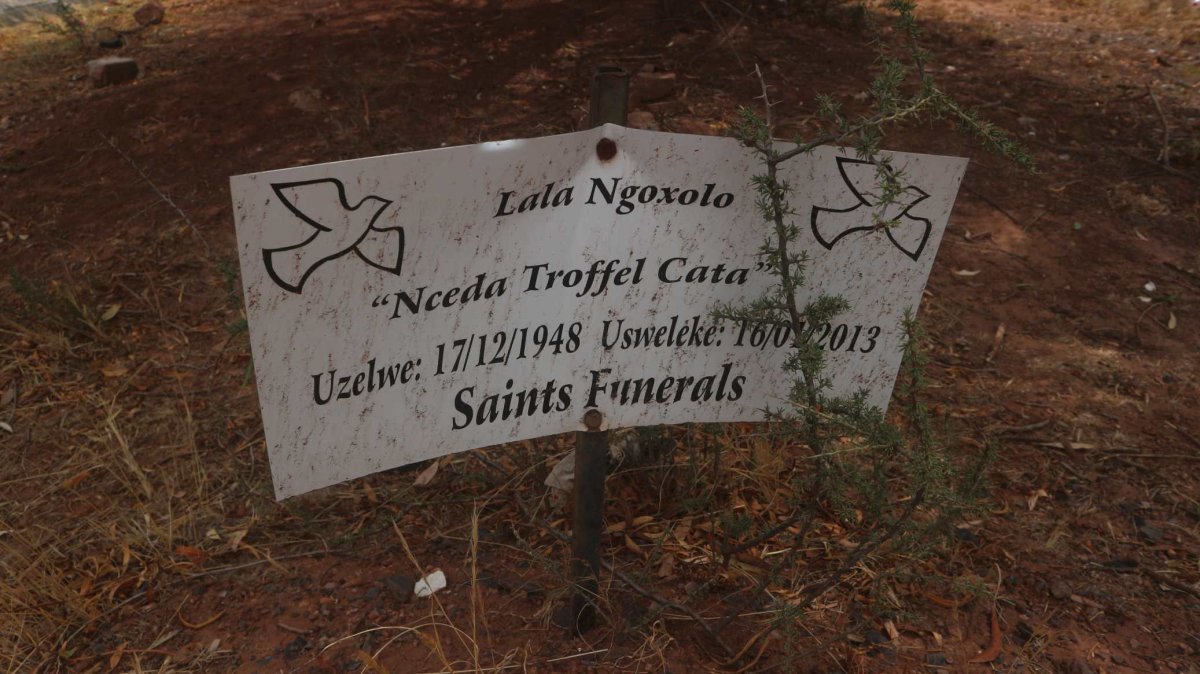 CATA Nceda Troffel 1948-2013