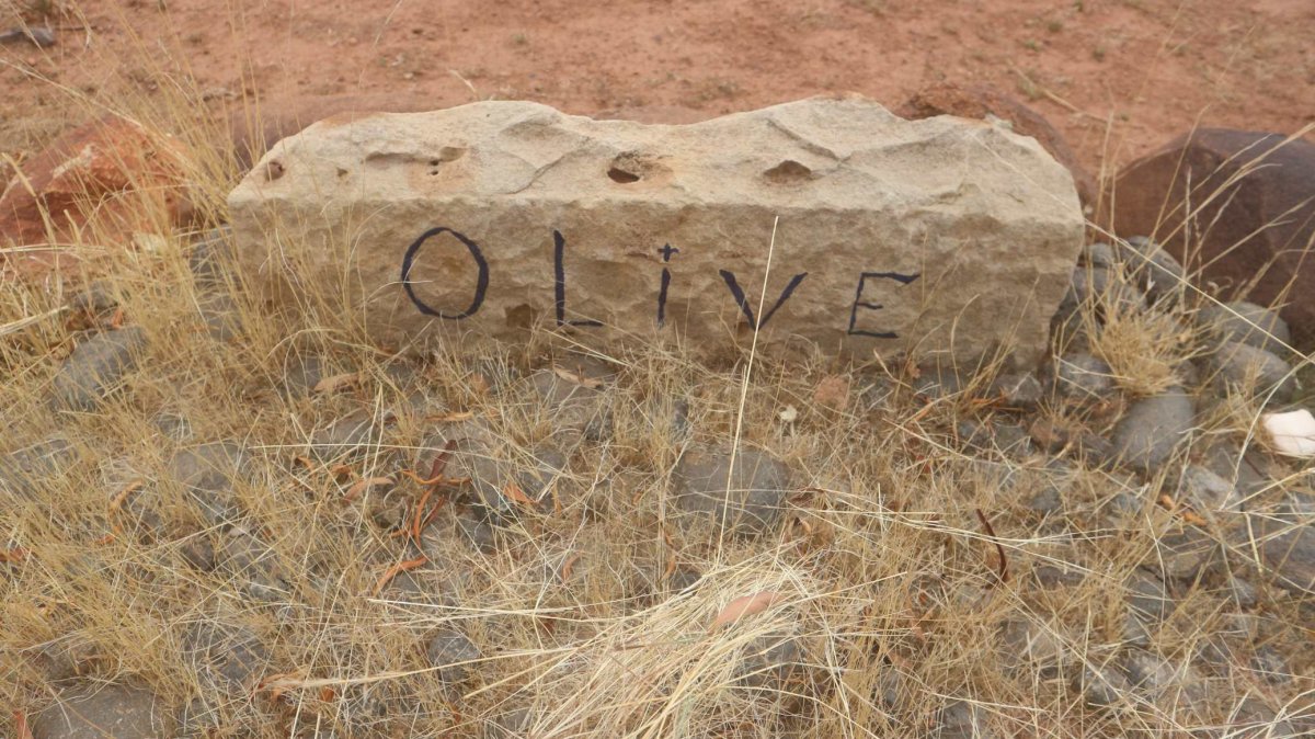 ? Olive
