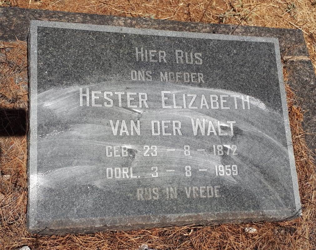WALT Hester Elizabeth, van der 1872-1959