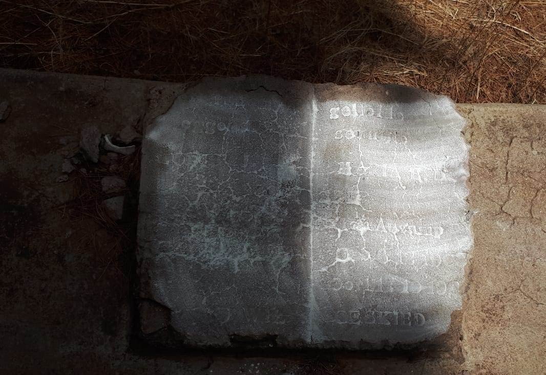 ? Maria E.D. nee AUCAMP -1919