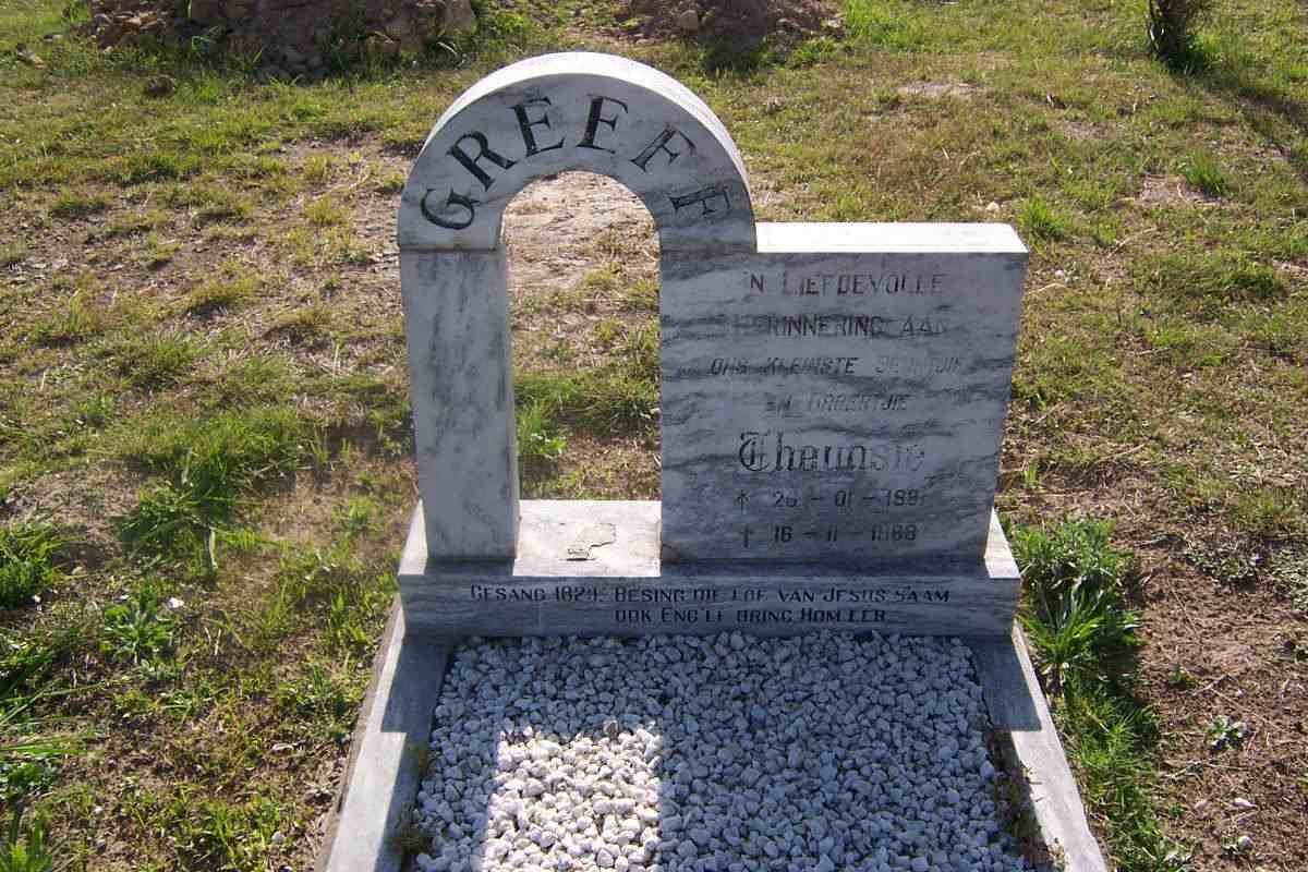 GREEFF Theunsie 1981-1988