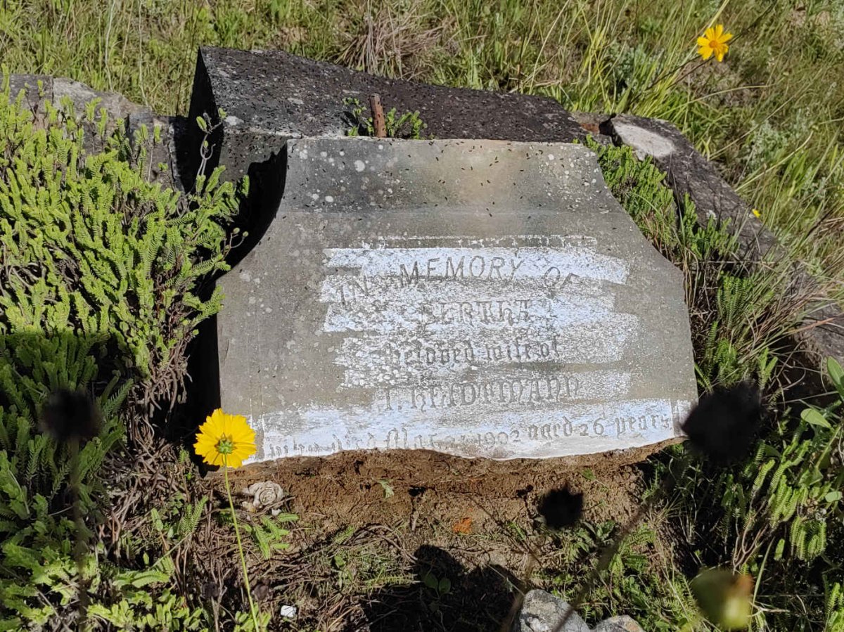 HEIDTMANN Bertha -1902