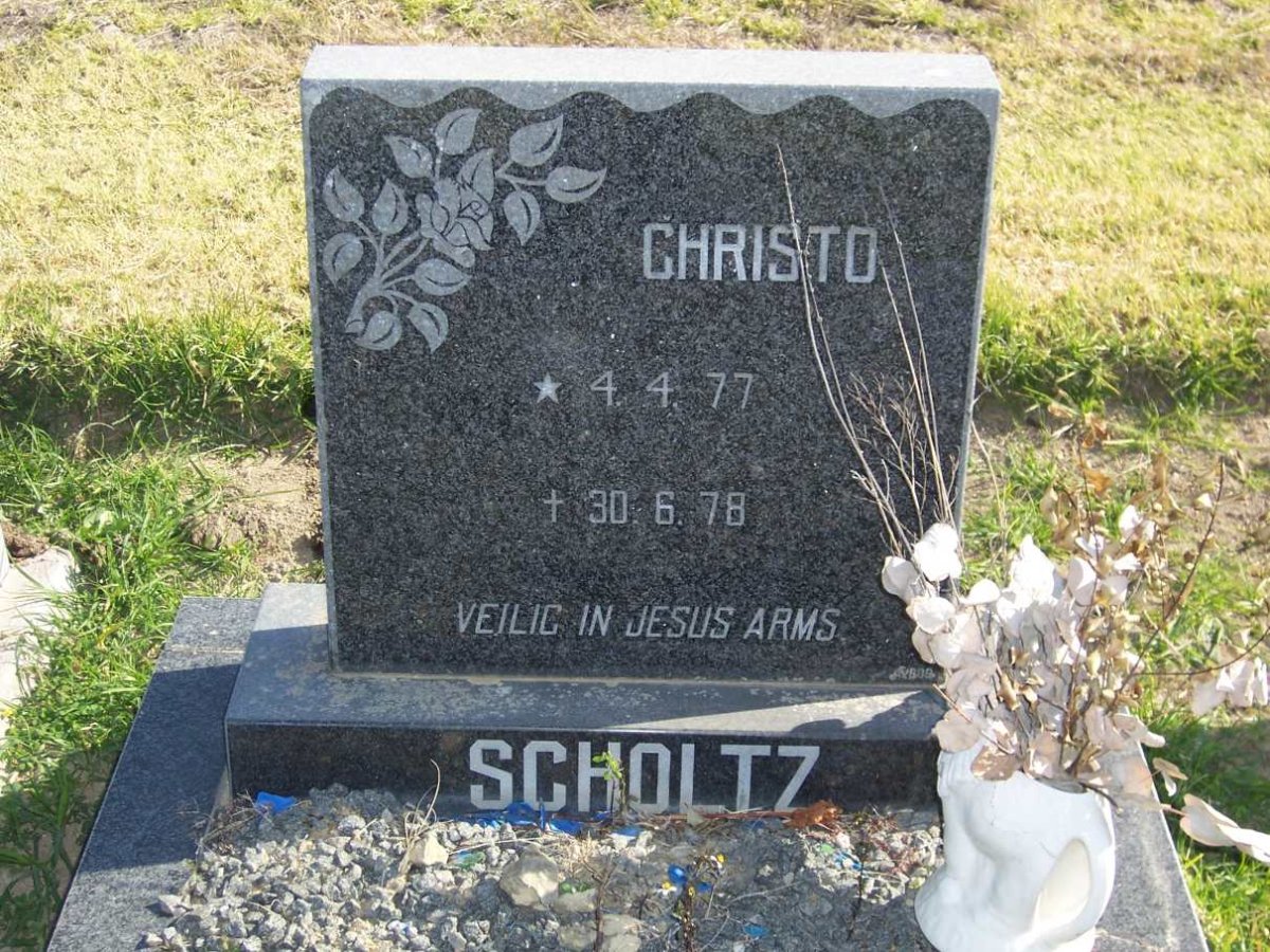 SCHOLTZ Christo 1977-1978