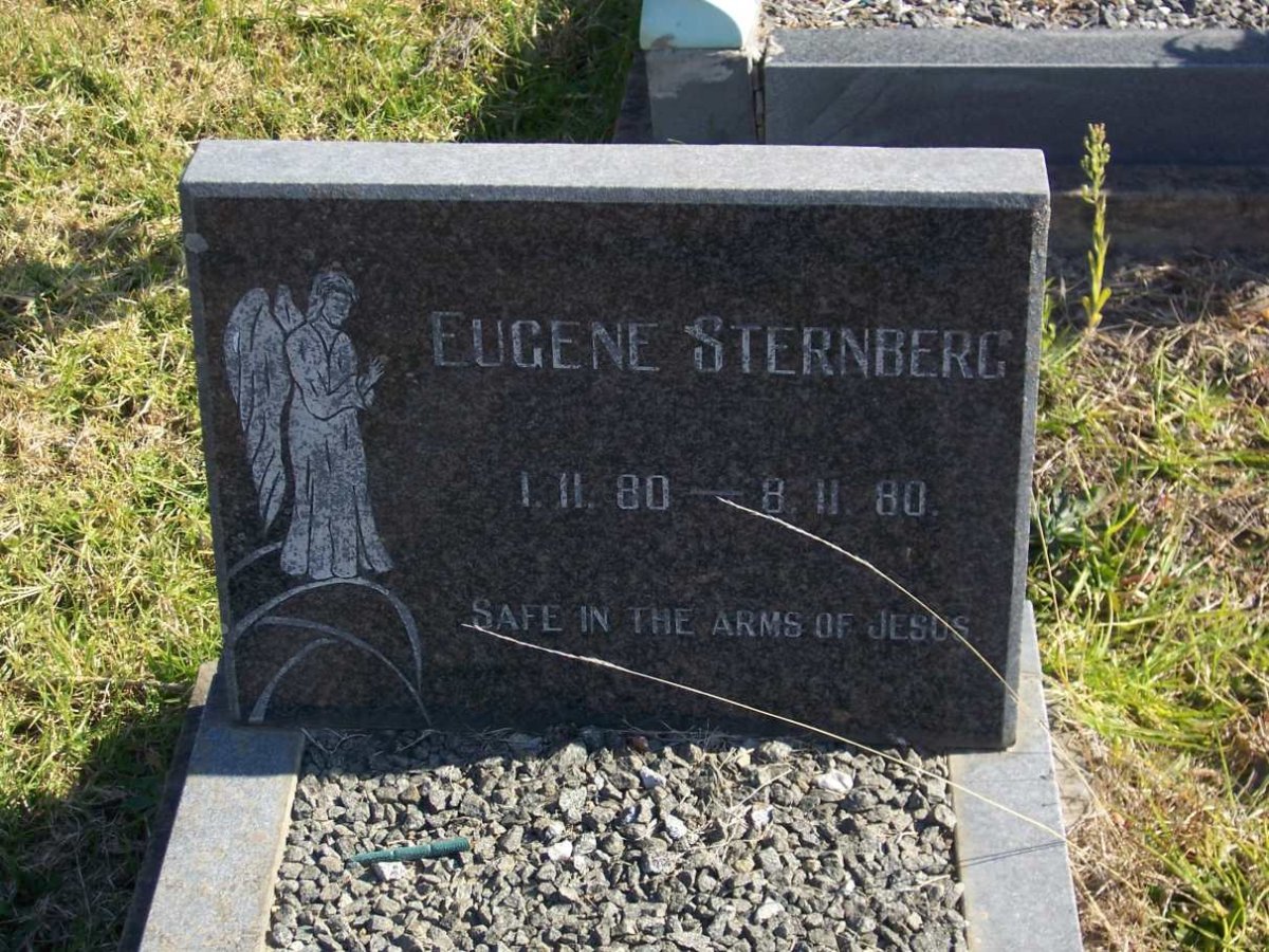STERNBERG Eugene 1980-1980