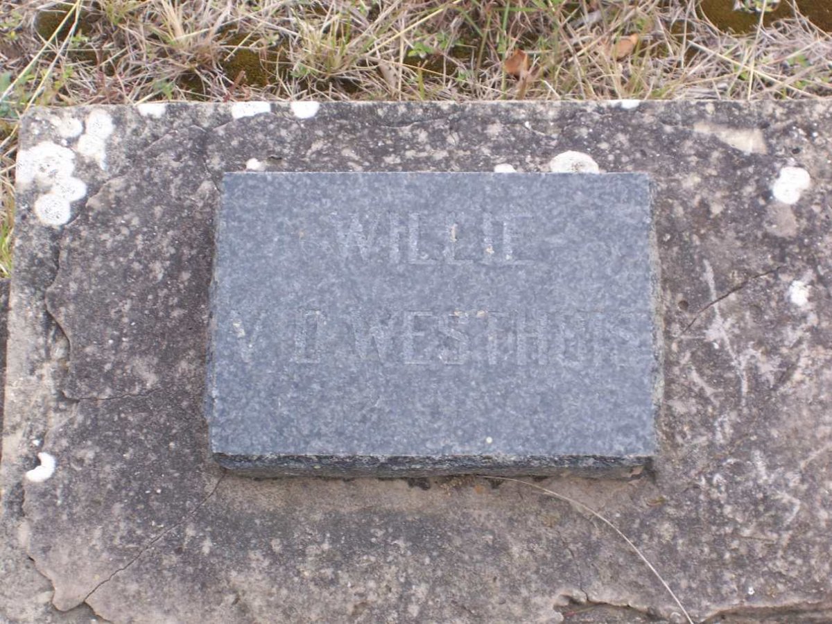 WESTHUIZEN Willie, van der