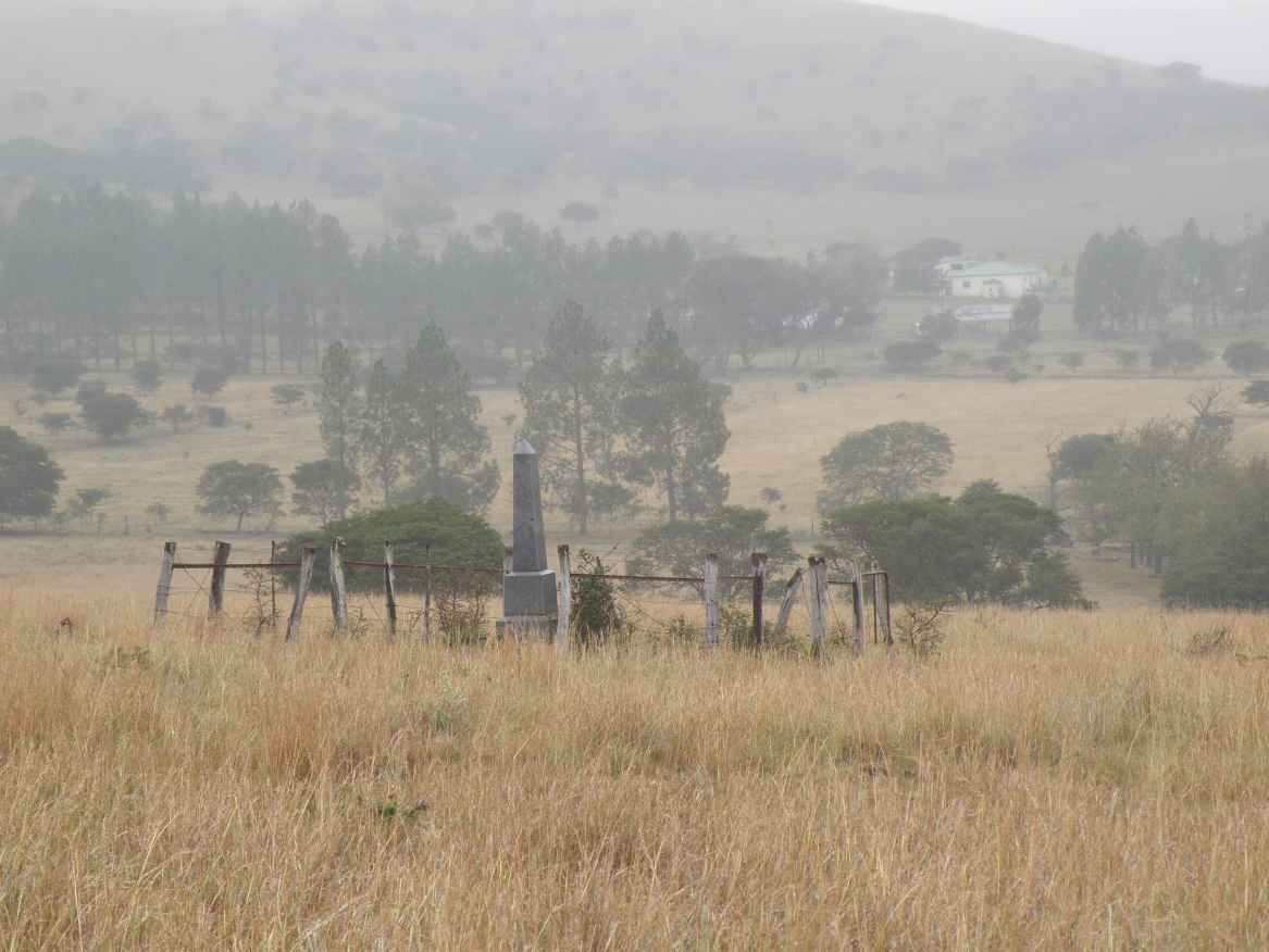 1. Overview