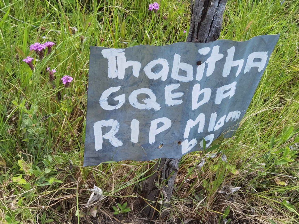 GQEBA Thabitha