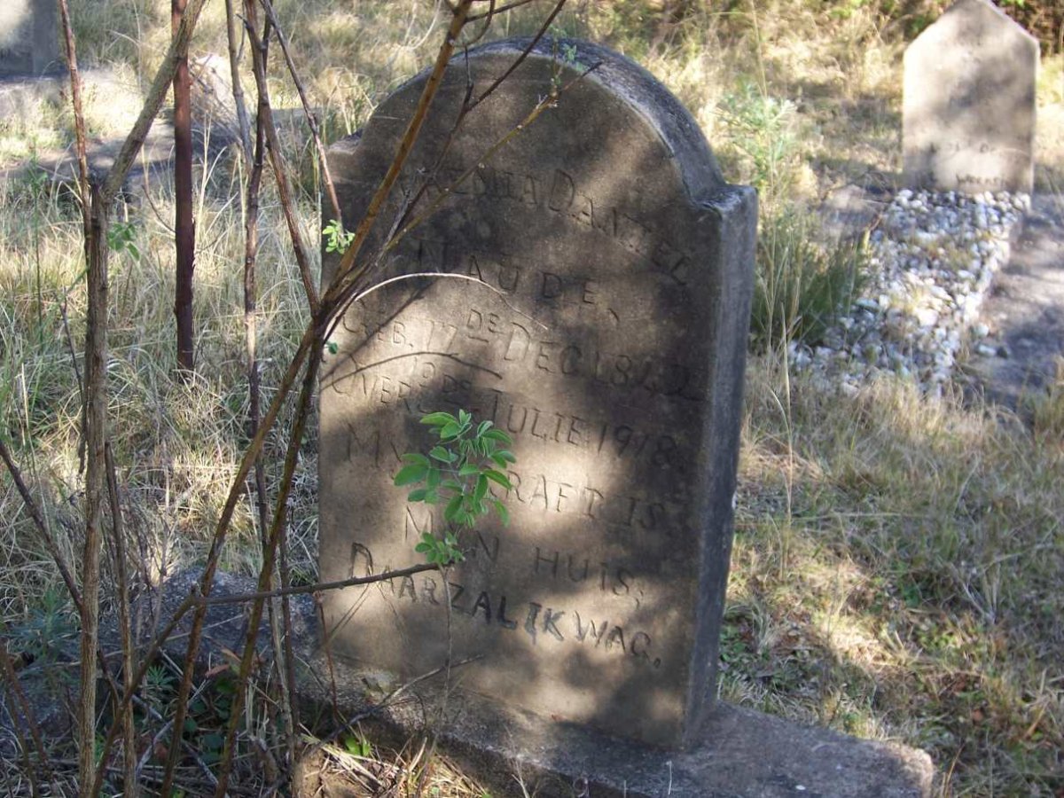 NAUDE Jeremia Daniel 1842-1918