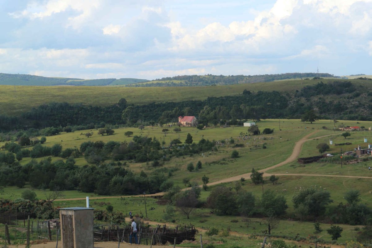 1. Overview