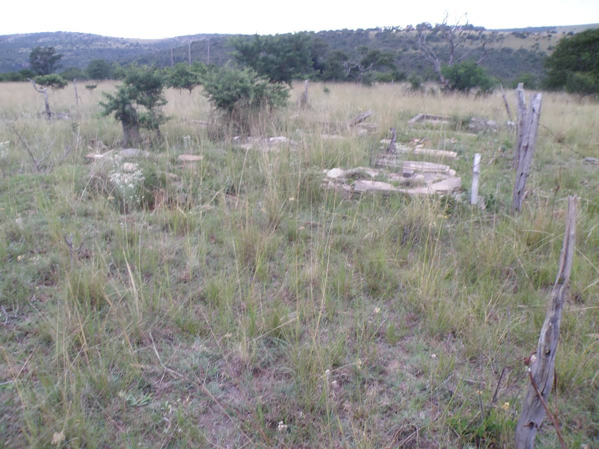 3. Overview
