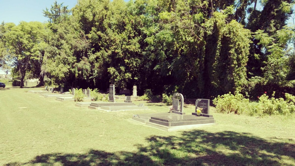 2. Overview