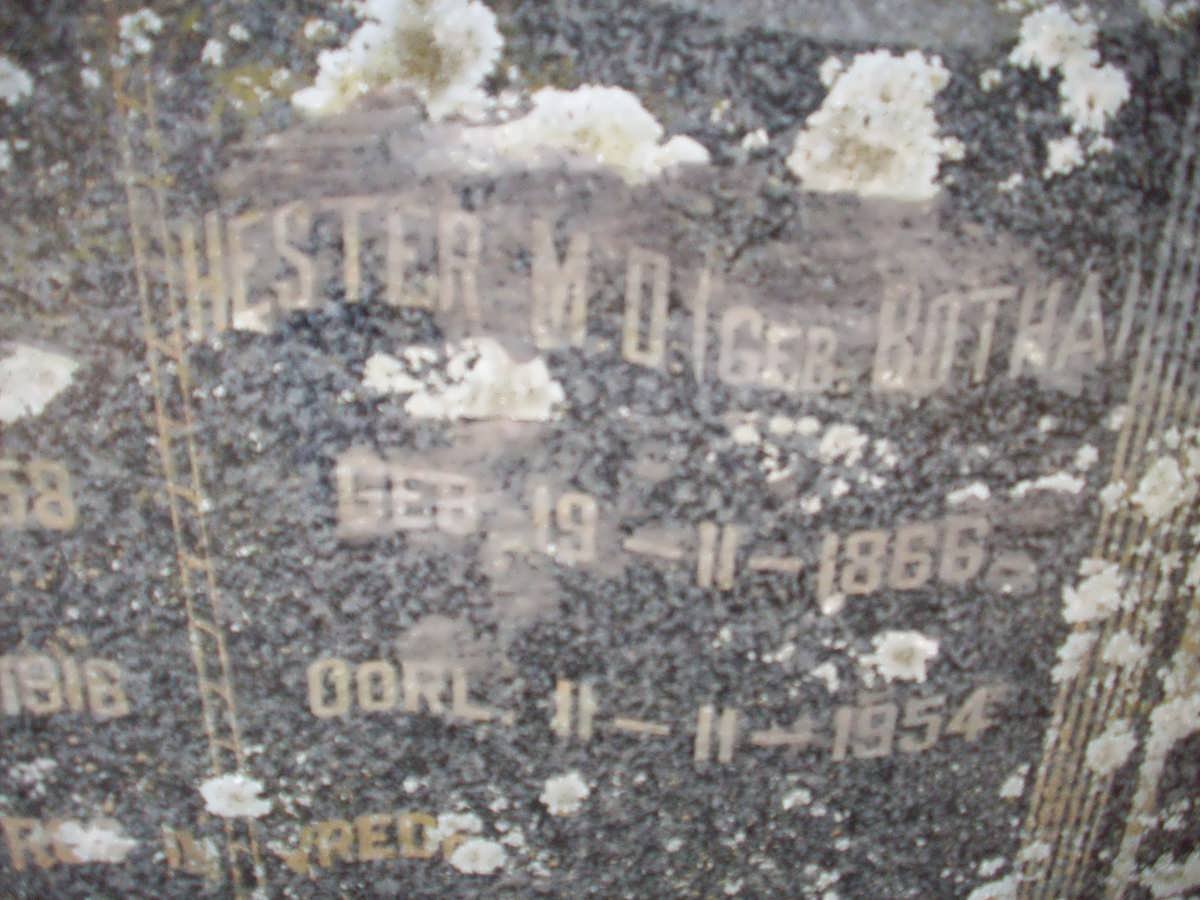 BOTHA Hester M.D. nee BOTHA 1866-1954
