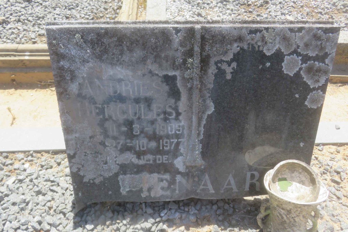 PIENAAR Andries Hercules 1909-1977