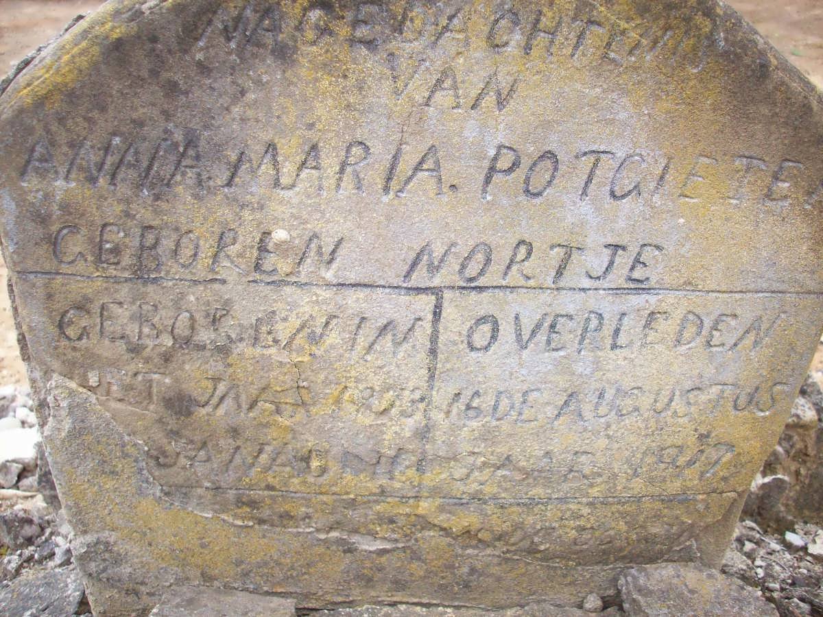 POTGIETER Anna Maria nee NORTJE 1873-1917