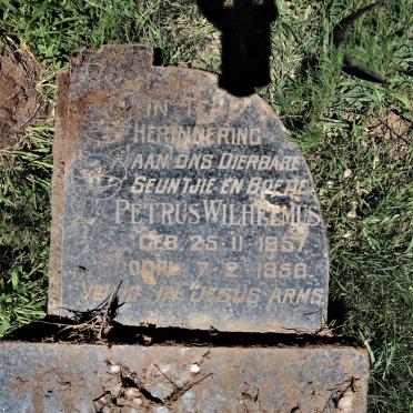 ? Petrus Wilhelmus 1957-1958