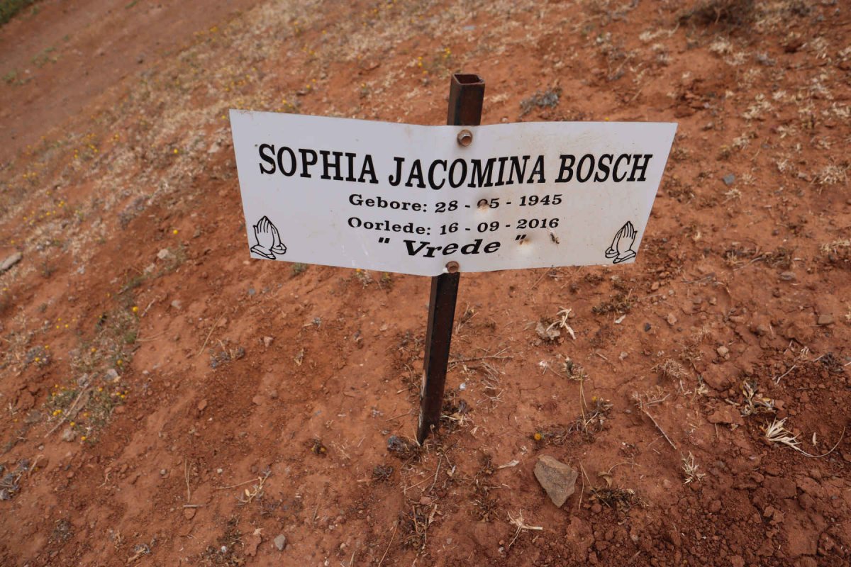 BOSCH Sophia Jacomina 1945-2016