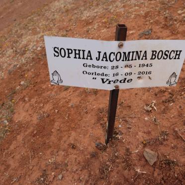 BOSCH Sophia Jacomina 1945-2016