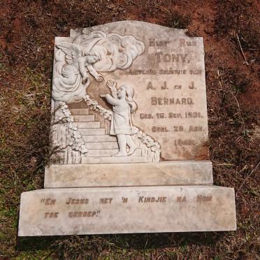 BERNARD Tony 1932-1940