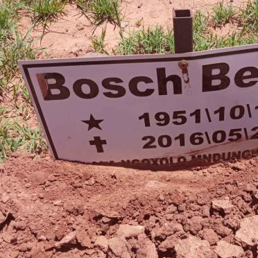 BOSCH Betty 1951-2016