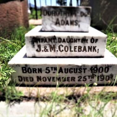 COLEBANK Dorothy ? Adams 1900-1901