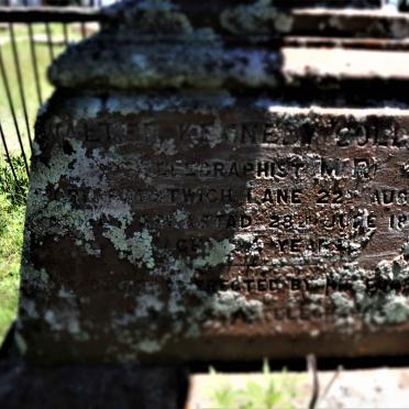 COLLINS Walter Kennedy 1856-188?