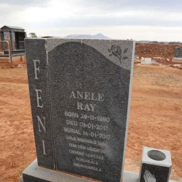 FENI Anele Ray 1990-2017