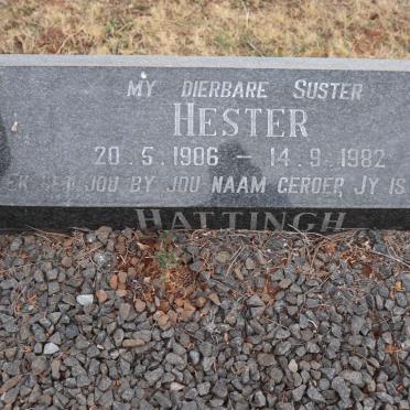HATTINGH Hester 1906-1982