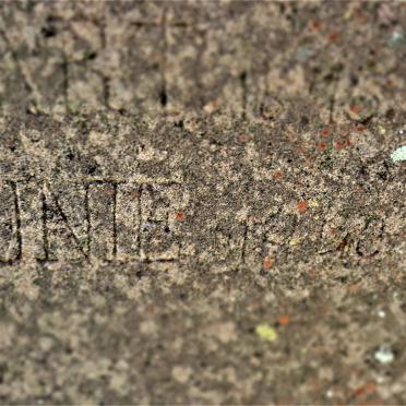 NEL Anna Johanna nee PIETERSEN 1876-19??