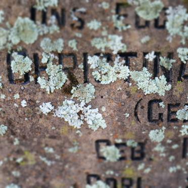 OELOFSE Andries J. 1887-1964 &amp;  Christina W. BOTHA 1870-1943