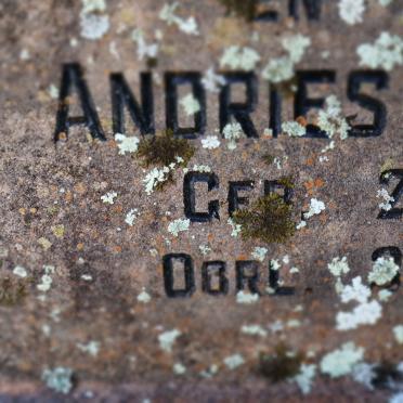 OELOFSE Andries J. 1887-1964 &amp;  Christina W. BOTHA 1870-1943