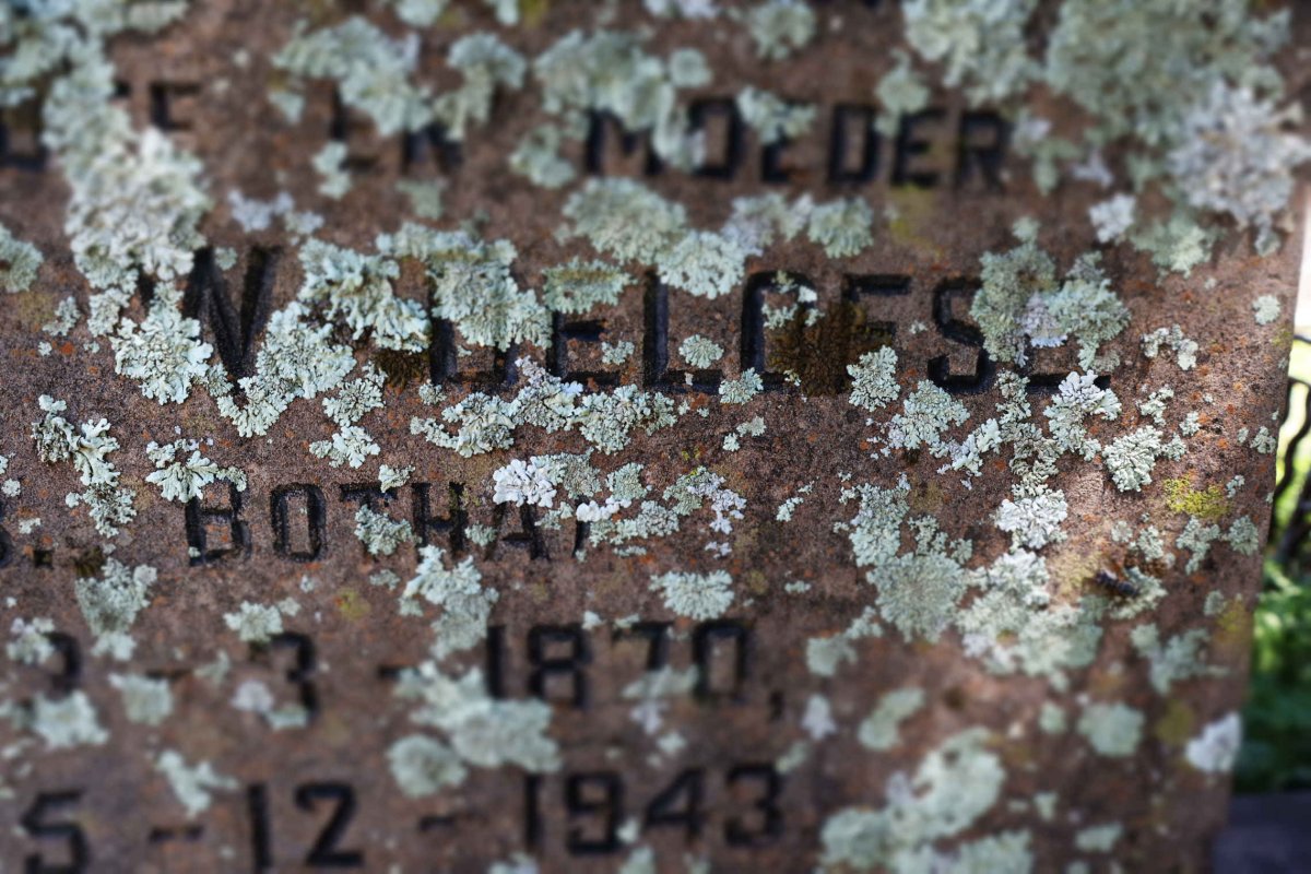 OELOFSE Andries J. 1887-1964 &amp;  Christina W. BOTHA 1870-1943
