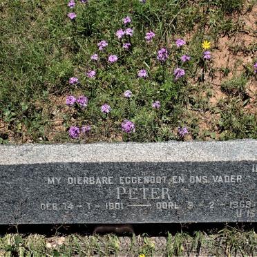 WAUGH Peter 1901-1963 &amp; Kitty 1903-1982