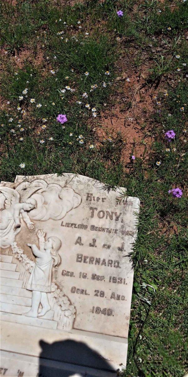 BERNARD Tony 1931-1940