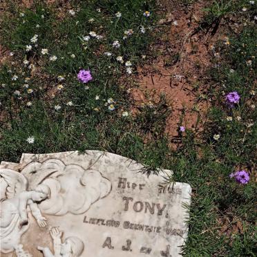 BERNARD Tony 1931-1940