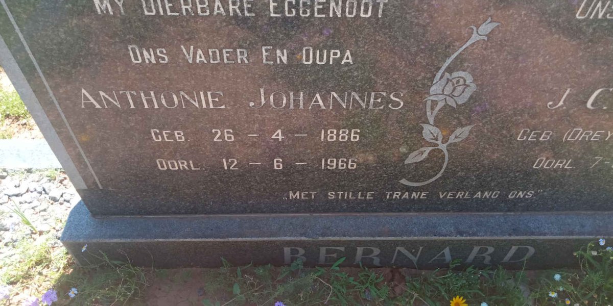 BERNARD Anthonie Johannes 1886-1966 &amp; J.C.H. DREYER 1900-1983