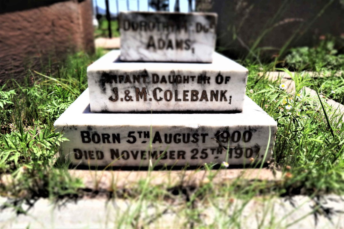 COLEBANK Dorothy ? Adams 1900-1901
